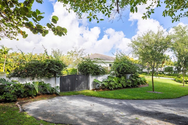 11100 Paradela St, Coral Gables, FL 33156 - view of side of home featuring a gate and stucco siding