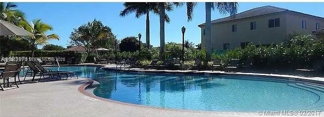 2402 NE 41st Pl, Homestead, FL 33033 - community pool featuring a patio area