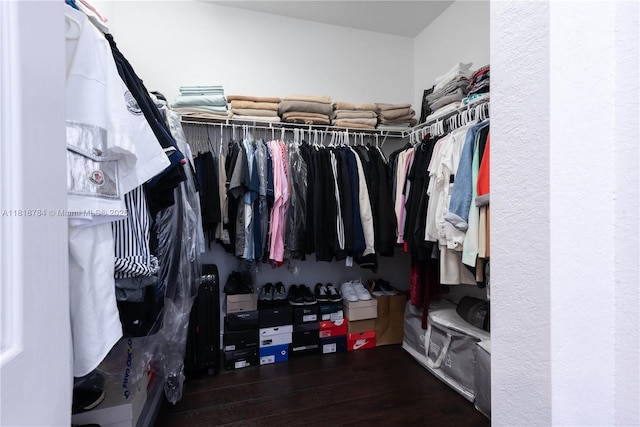 8885 NW 100th Pl, Doral, FL 33178 - walk in closet featuring wood finished floors