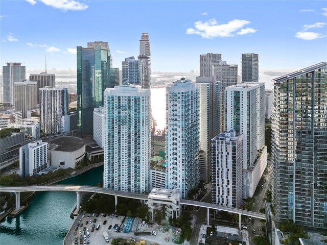31 SE 5th St Unit 707, Miami, FL 33131 - photo 58