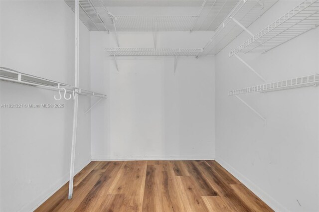 2504 Antigua Ter Unit L4, Coconut Creek, FL 33066 - walk in closet with wood finished floors