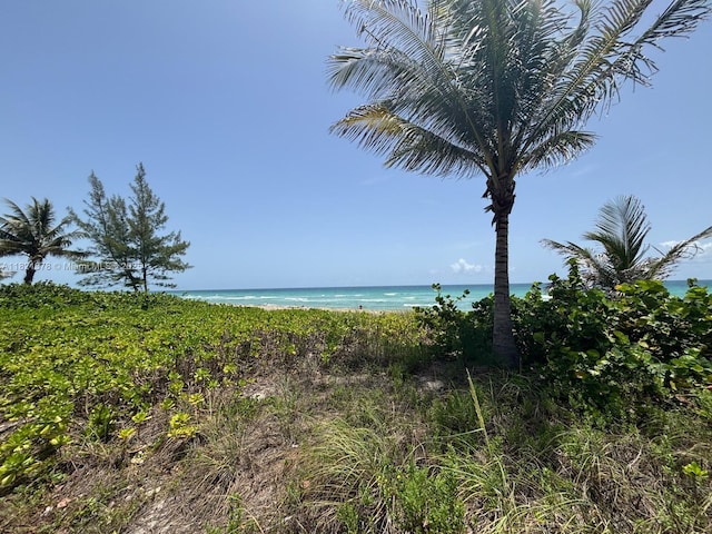 1936 S Ocean Dr Unit 7C, Hallandale Beach, FL 33009 - water view with local beach
