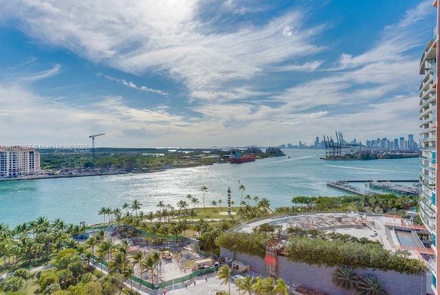 300 S Pointe Dr Unit 1602, Miami Beach, FL 33139 - water view with skyline