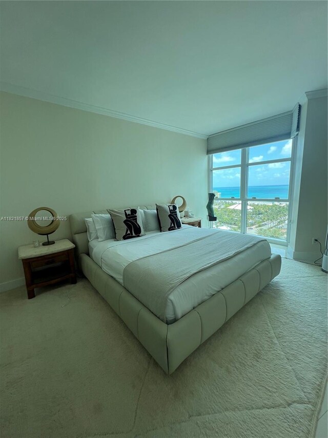 300 S Pointe Dr Unit 1602, Miami Beach, FL 33139 - bedroom featuring crown molding, light carpet, and a water view