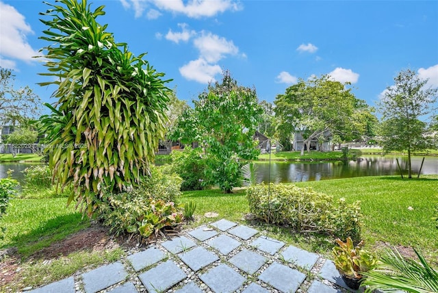 502 Westree Ln, Plantation, FL 33324 - view of green lawn featuring a water view
