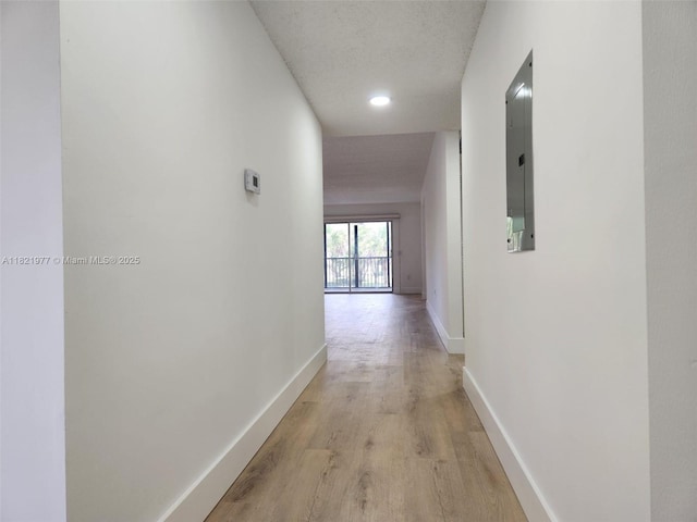 12755 SW 16th Ct Unit 201B, Pembroke Pines, FL 33027 - hallway with light wood-type flooring and electric panel