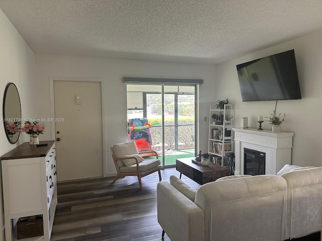 6447 Chasewood Dr Unit C, Jupiter, FL 33458 - living area featuring dark wood-type flooring, a textured ceiling, and a glass covered fireplace