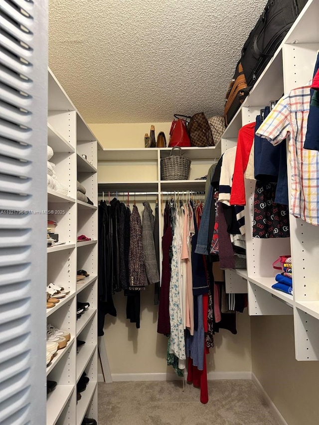 6447 Chasewood Dr Unit C, Jupiter, FL 33458 - walk in closet with carpet flooring