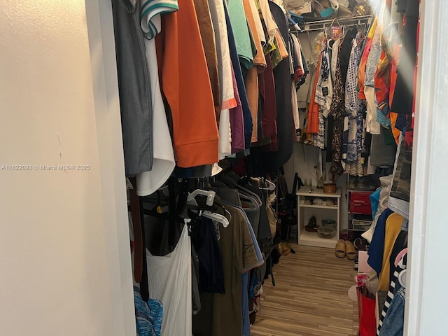 7110 SW 11th St, Pembroke Pines, FL 33023 - spacious closet with wood finished floors