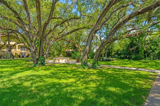 8940 NE 8th Ave Unit 1203, Miami, FL 33138 - view of green lawn