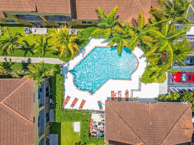 8940 NE 8th Ave Unit 1203, Miami, FL 33138 - drone / aerial view of a pool area