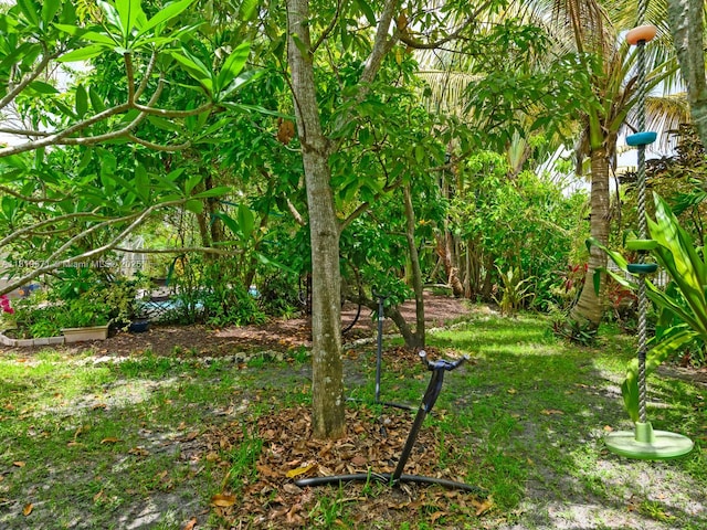 4209 Pinewood Ln, Weston, FL 33331 - photo 58