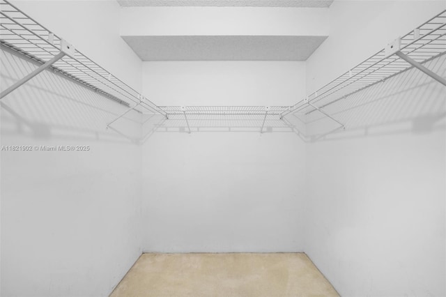 9455 Collins Ave Unit 305, Surfside, FL 33154 - spacious closet with carpet floors