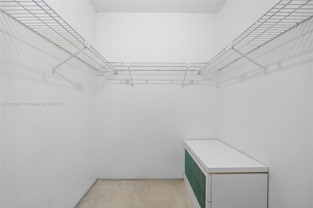 9455 Collins Ave Unit 305, Surfside, FL 33154 - spacious closet featuring light carpet