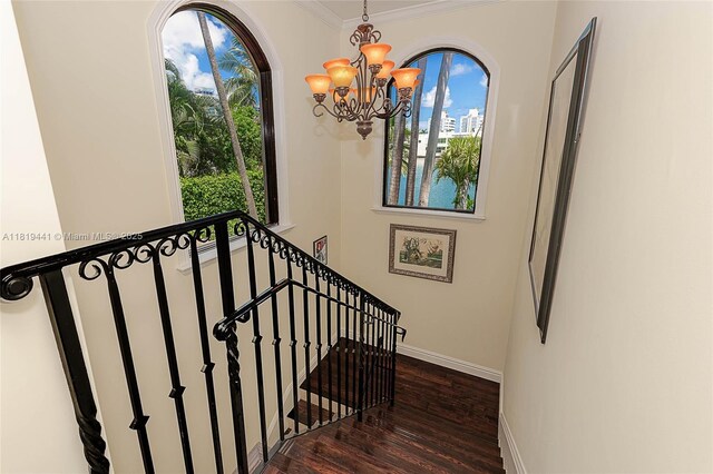6535 Allison Rd, Miami Beach, FL 33141 - stairs with a chandelier, wood finished floors, and ornamental molding