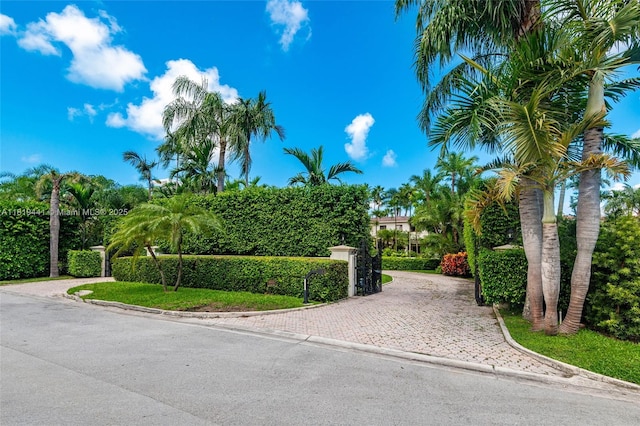 6535 Allison Rd, Miami Beach, FL 33141 - surrounding community featuring driveway