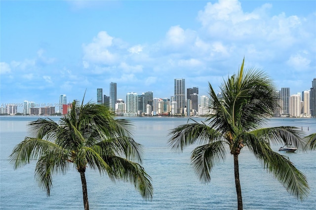 5233 Fisher Island Dr Unit 5233, Miami Beach, FL 33109 - water view with city skyline