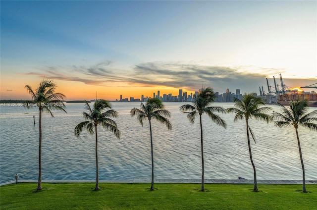 5233 Fisher Island Dr Unit 5233, Miami Beach, FL 33109 - photo 27