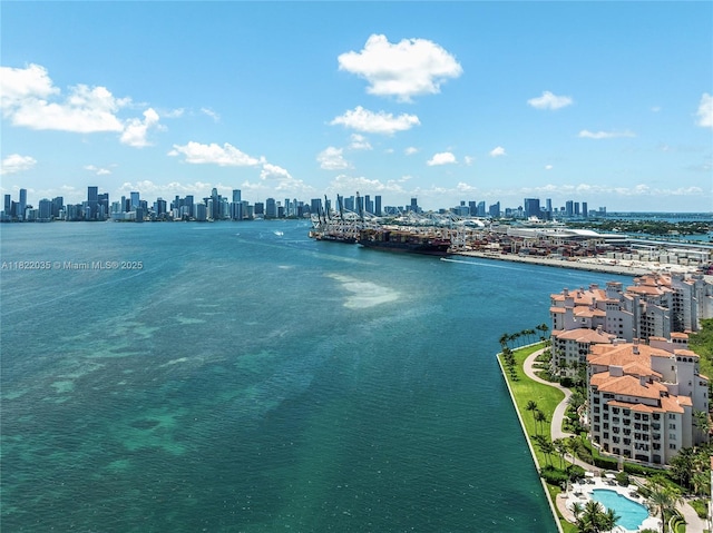 5233 Fisher Island Dr Unit 5233, Miami Beach, FL 33109 - photo 45