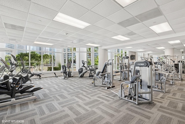 801 Brickell Key Blvd Unit 2202, Miami, FL 33131 - gym featuring plenty of natural light, carpet flooring, and a paneled ceiling