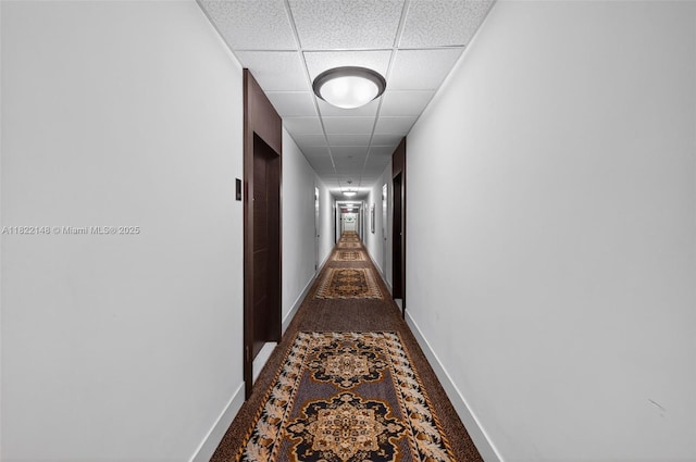 2851 NE 183rd St Unit 216E, Aventura, FL 33160 - corridor featuring a paneled ceiling and carpet flooring