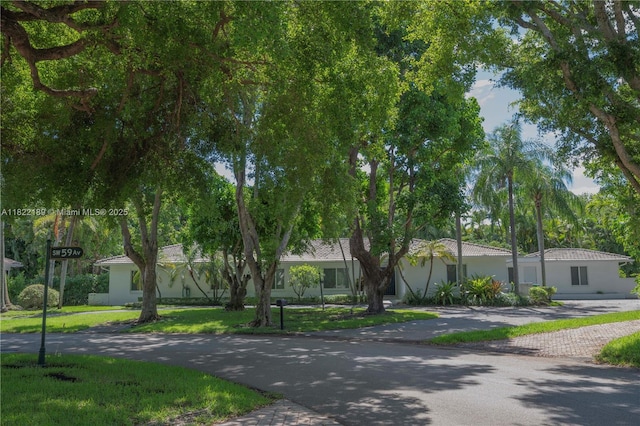 13200 SW 59th Ave, Pinecrest, FL 33156 - view of front of house featuring a front yard, driveway, and stucco siding