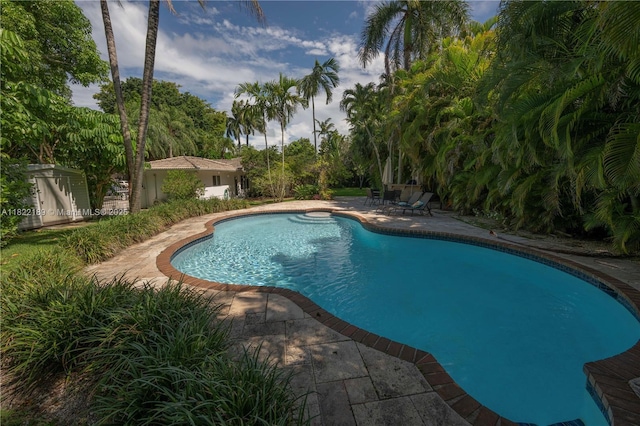 13200 SW 59th Ave, Pinecrest, FL 33156 - swimming pool with a patio