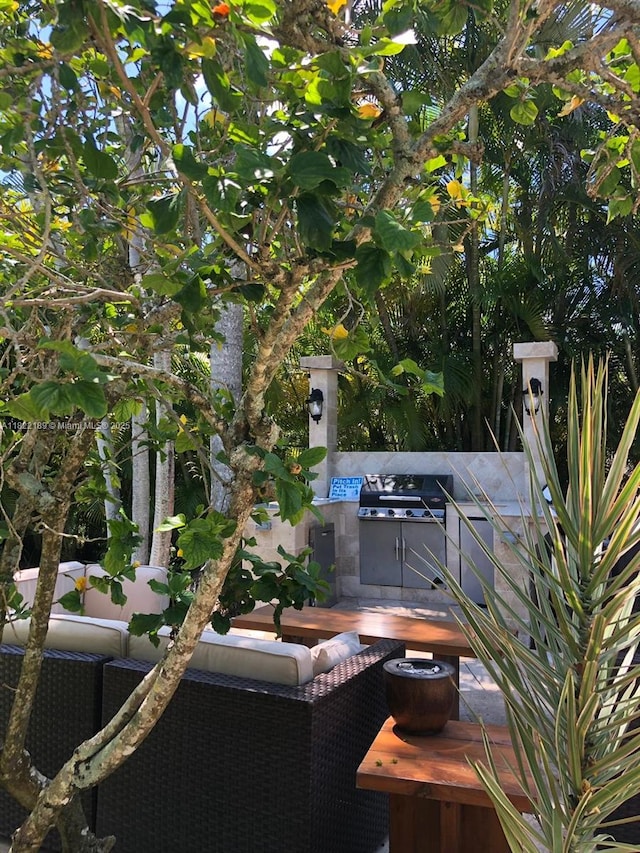 13200 SW 59th Ave, Pinecrest, FL 33156 - view of patio with exterior kitchen