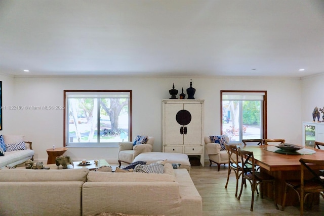 13200 SW 59th Ave, Pinecrest, FL 33156 - living room with light wood-type flooring and recessed lighting