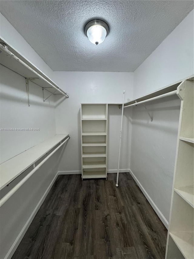 1225 NE 124th St Unit 46A, North Miami, FL 33161 - spacious closet with dark wood-style floors
