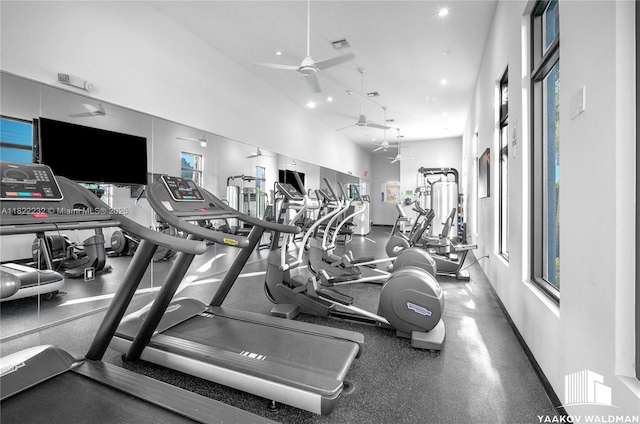 3511 Ashwood Cir S, Hollywood, FL 33312 - gym featuring a ceiling fan and plenty of natural light