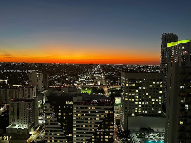 88 SW 7th St Unit 3012, Miami, FL 33130 - city view