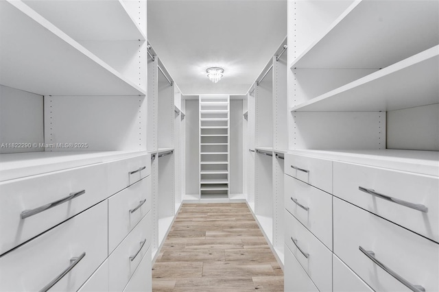7225 Promenade Dr Unit 102, Boca Raton, FL 33433 - walk in closet with light wood finished floors