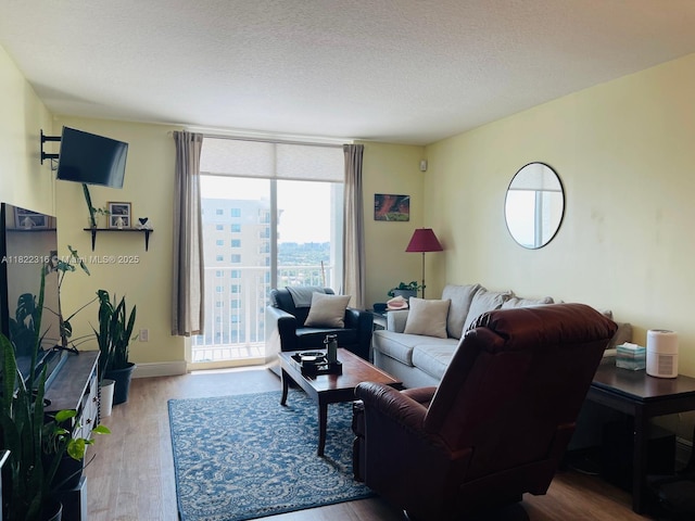 117 NW 42nd Ave Unit 1506, Miami, FL 33126 - living area with wood finished floors and a textured ceiling