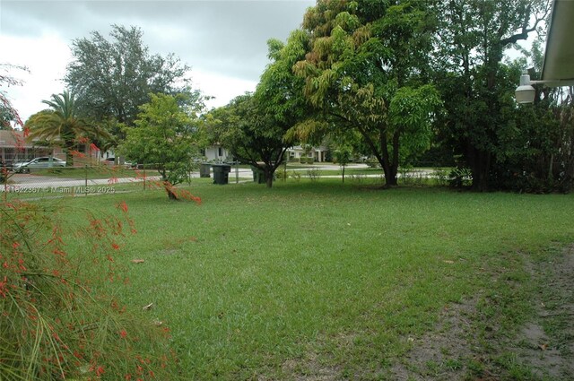 12385 NW 4th Ave, North Miami, FL 33168 - view of yard