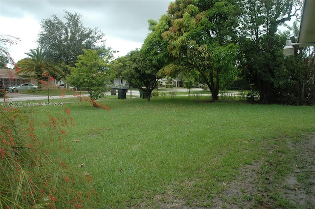 12385 NW 4th Ave, North Miami, FL 33168 - view of yard
