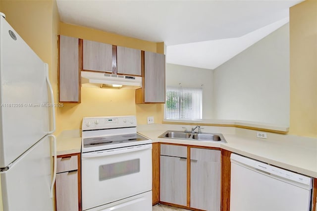 3401 NW 44th St Unit 201, Oakland Park, FL 33309 - kitchen with under cabinet range hood, white appliances, and light countertops