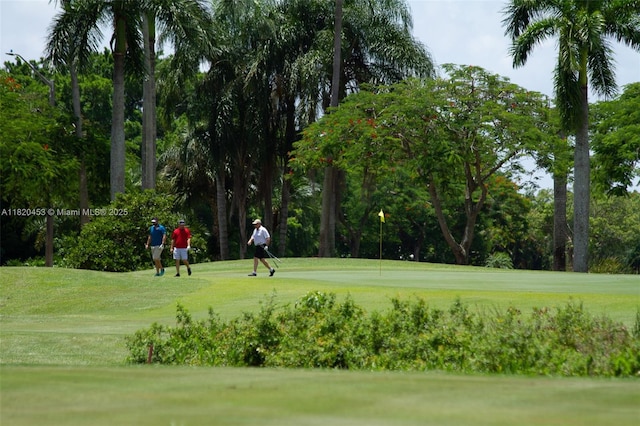 142 SW 204th Ave, Pembroke Pines, FL 33029 - view of community with a lawn, view of golf course, and view of scattered trees