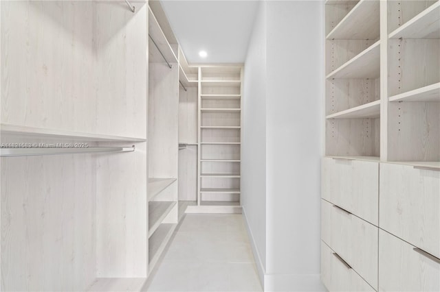 3002 SW 151st Ct, Miami, FL 33185 - view of walk in closet