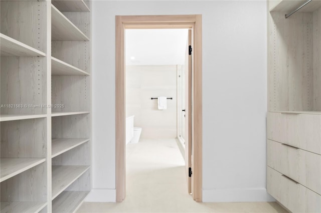 3002 SW 151st Ct, Miami, FL 33185 - view of spacious closet