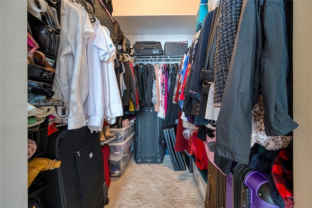 1755 E Hallandale Beach Blvd Unit 608E, Hallandale Beach, FL 33009 - spacious closet with carpet