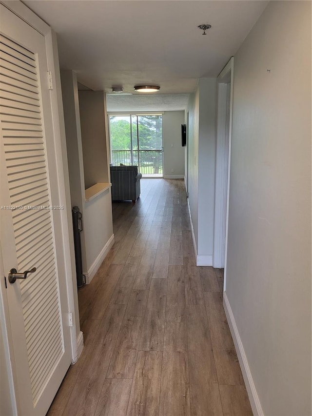 3150 W Rolling Hills Cir Unit 310, Davie, FL 33328 - hall with wood-type flooring and baseboards