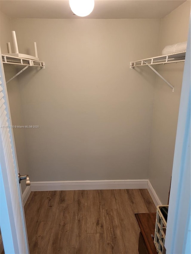 3150 W Rolling Hills Cir Unit 310, Davie, FL 33328 - walk in closet featuring wood finished floors
