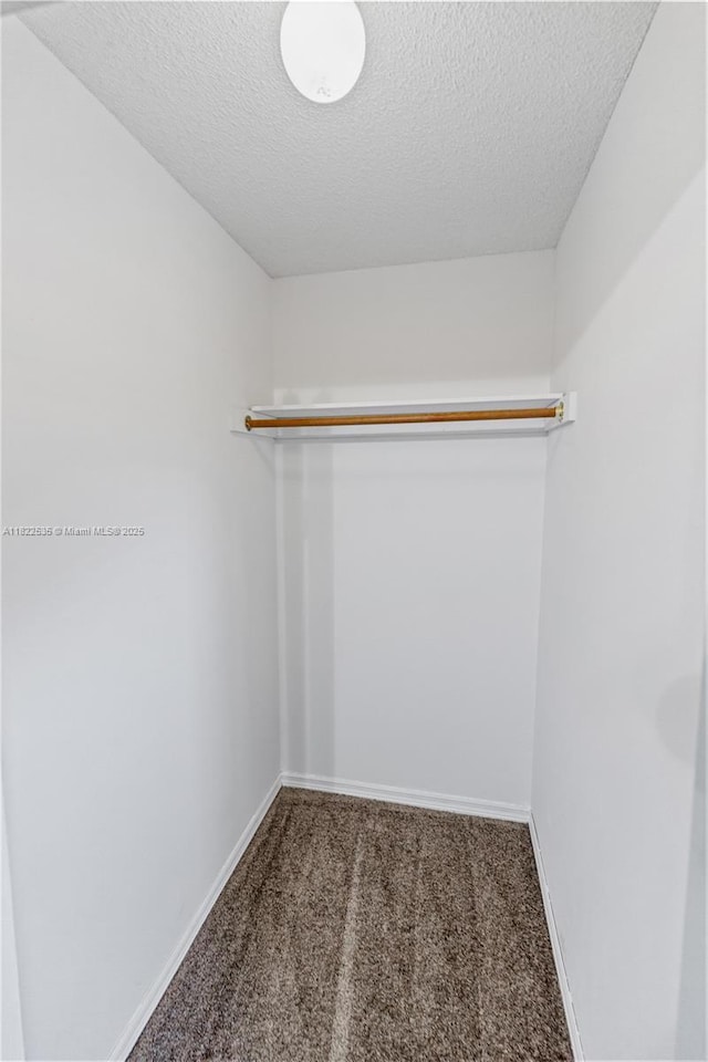 1712 Melvin Ave, Orlando, FL 32806 - spacious closet with carpet floors