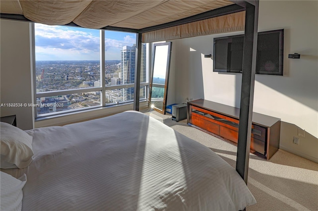 1425 Brickell Ave Unit 48C, Miami, FL 33131 - view of carpeted bedroom