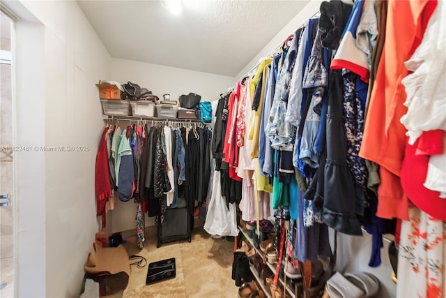 11018 NW 47th Ter, Doral, FL 33178 - view of walk in closet