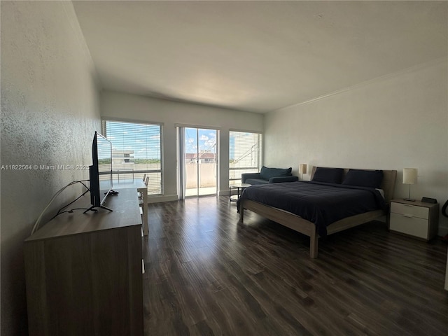 700 Biltmore Way Unit 1216, Coral Gables, FL 33134 - bedroom with dark wood-type flooring, access to outside, and a textured wall
