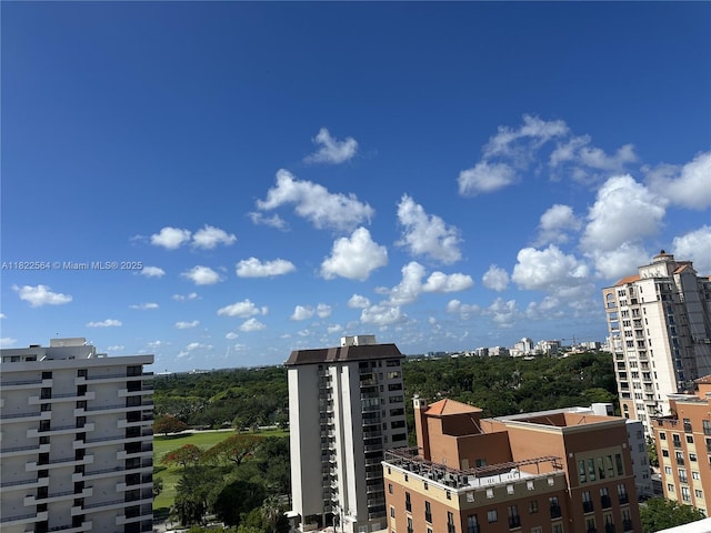 700 Biltmore Way Unit 1216, Coral Gables, FL 33134 - city view