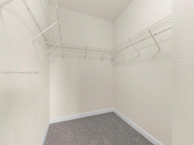 2590 SE 14th St, Homestead, FL 33035 - spacious closet featuring carpet flooring