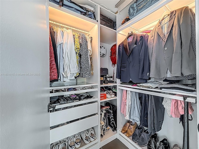 3301 NE 1st Ave Unit H1215, Miami, FL 33137 - view of walk in closet